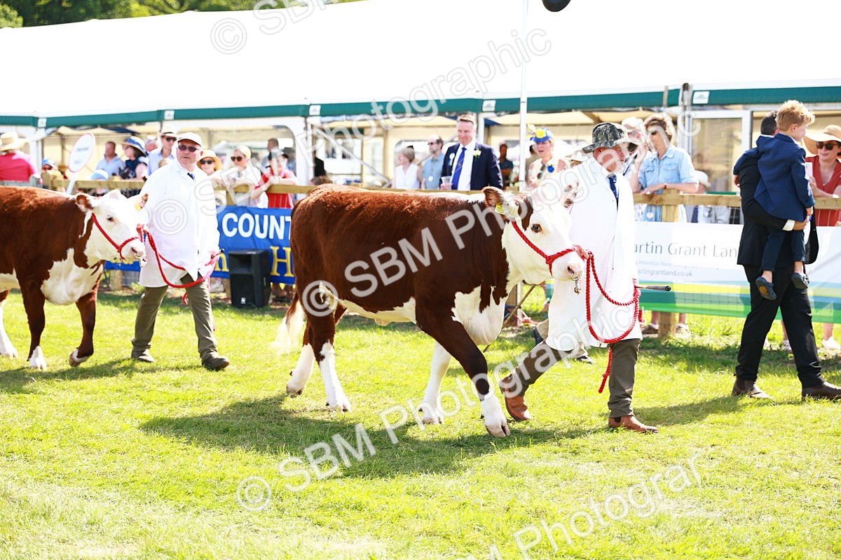 SBM_08451 - Grand Parade
