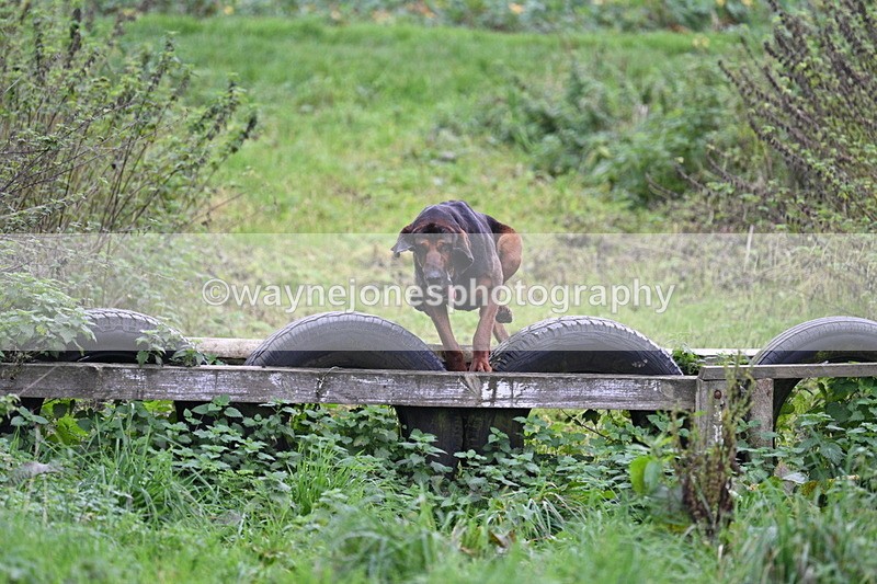 WJ7_8964 - Camera 1 only on this line