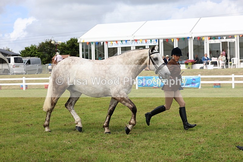 3E7A0363 - Class 6: Rising Star Maxi Cobs