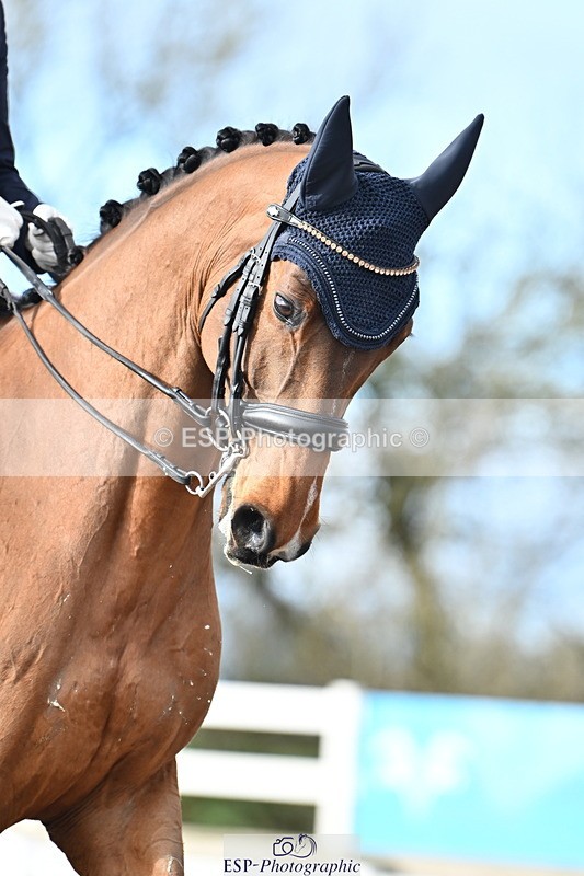 240218A-144221-08192 - 224-Georgia.Stokes-SOS.Johnny.Cash