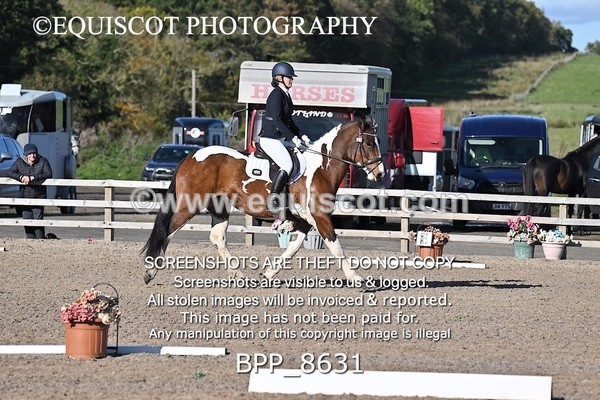 BPP_8631 - SHORT ARENA