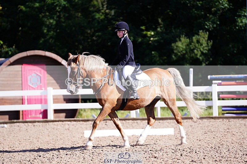 240809A-091122-00168 - Dressage Competition