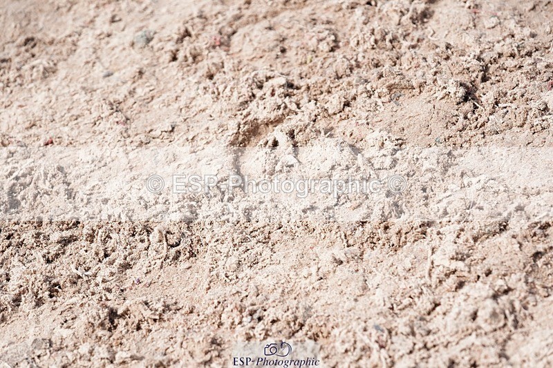 250425-142814-10134 - Cls 34 Young Horse 7yr old