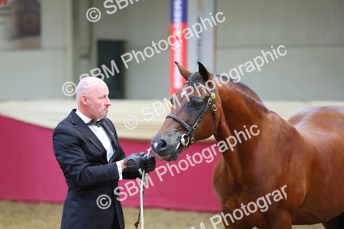 SBM_23227 - Supreme Final - IH Champion