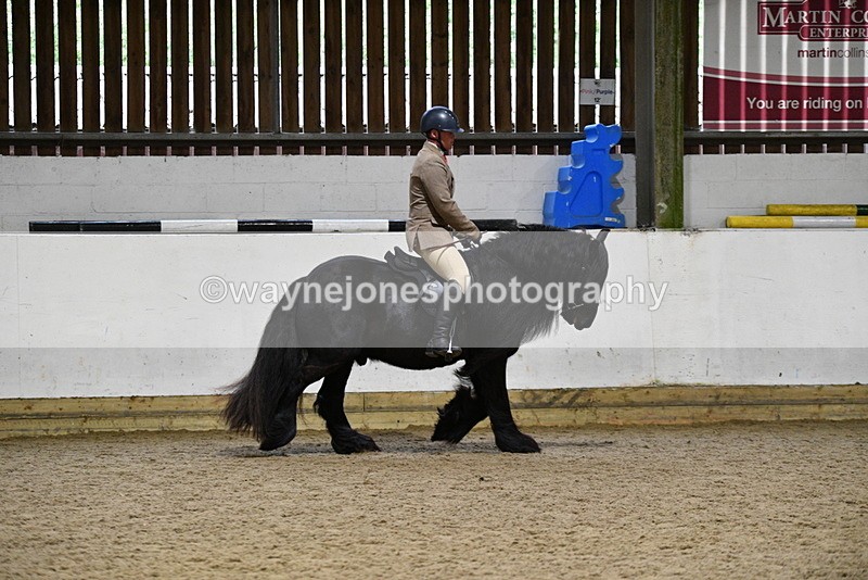 WJ5_8613 - Class 14 Novice Ridden/Rider