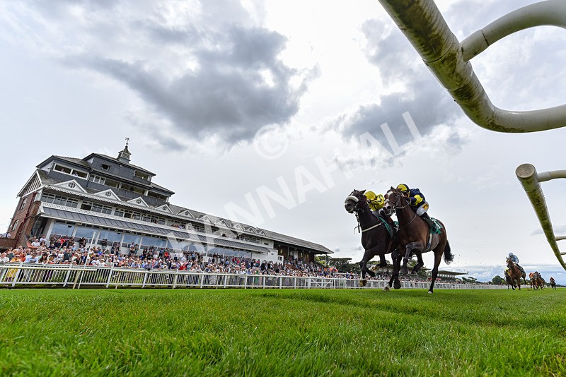 010726-Race 3-North Force-1637 - Race 3 14.08pm British EBF Novice Stakes