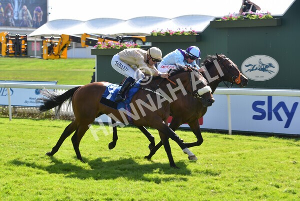 yr12062021r7-6 - Race 7 5.25pm Sky Bet Stakes