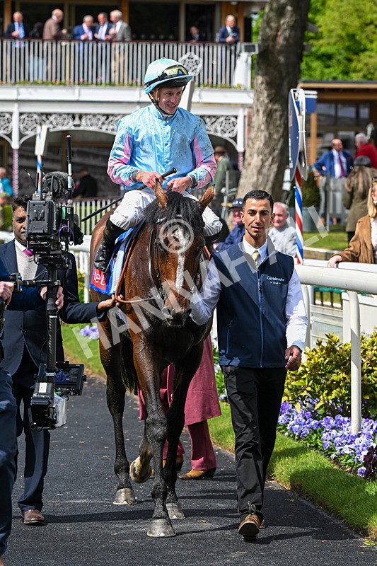 130526-Race 2-Klassleader-2505 - Race 2 2.20pm Sky Bet Race To The Ebor Jorvik Handicap