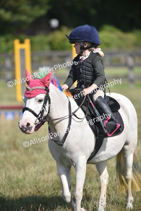 20260906-0970 - Class 7 - Absolute Novice Jumping 35cm