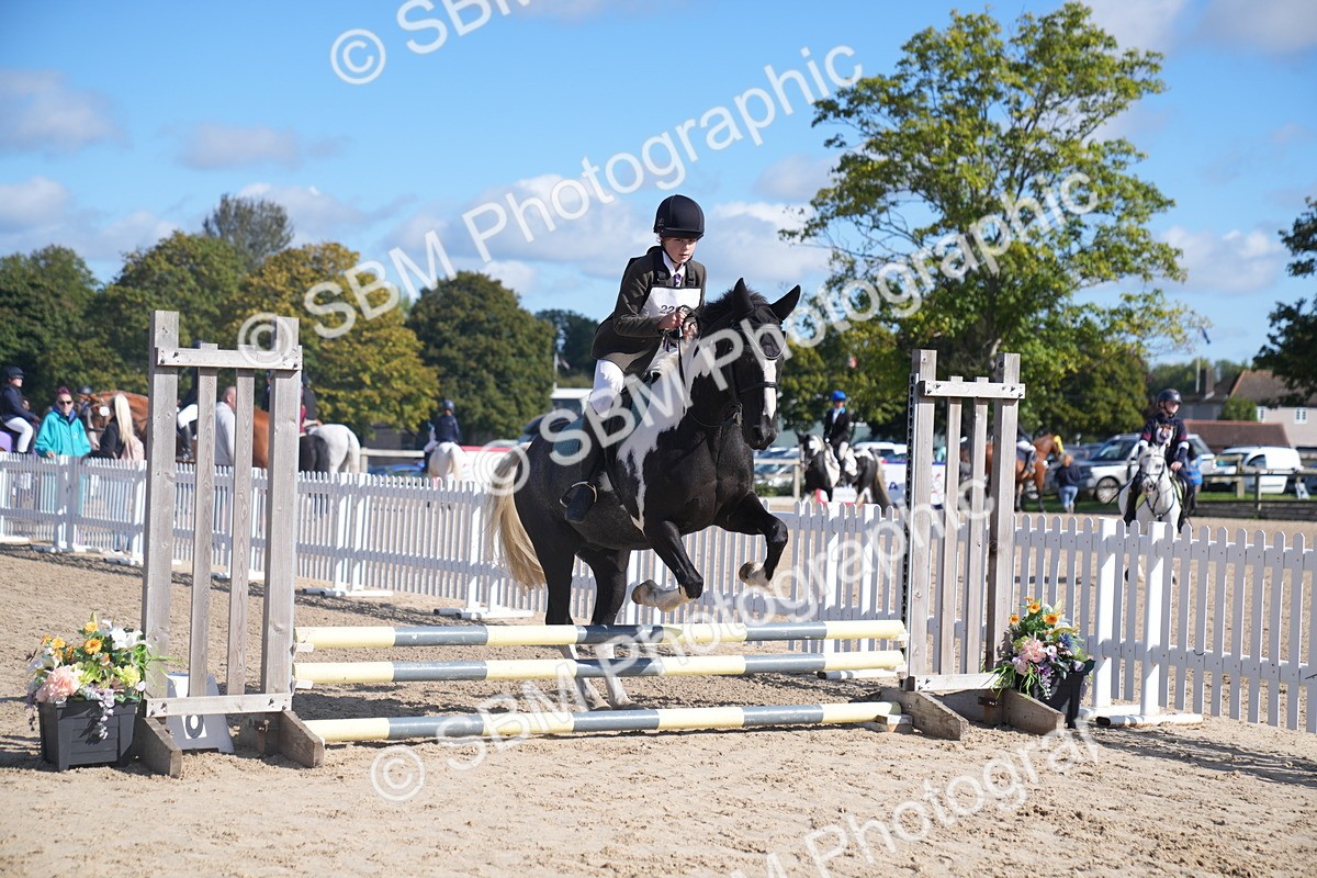 SBM_02419_J54 - Clear Round - 45cm - Chris Haley