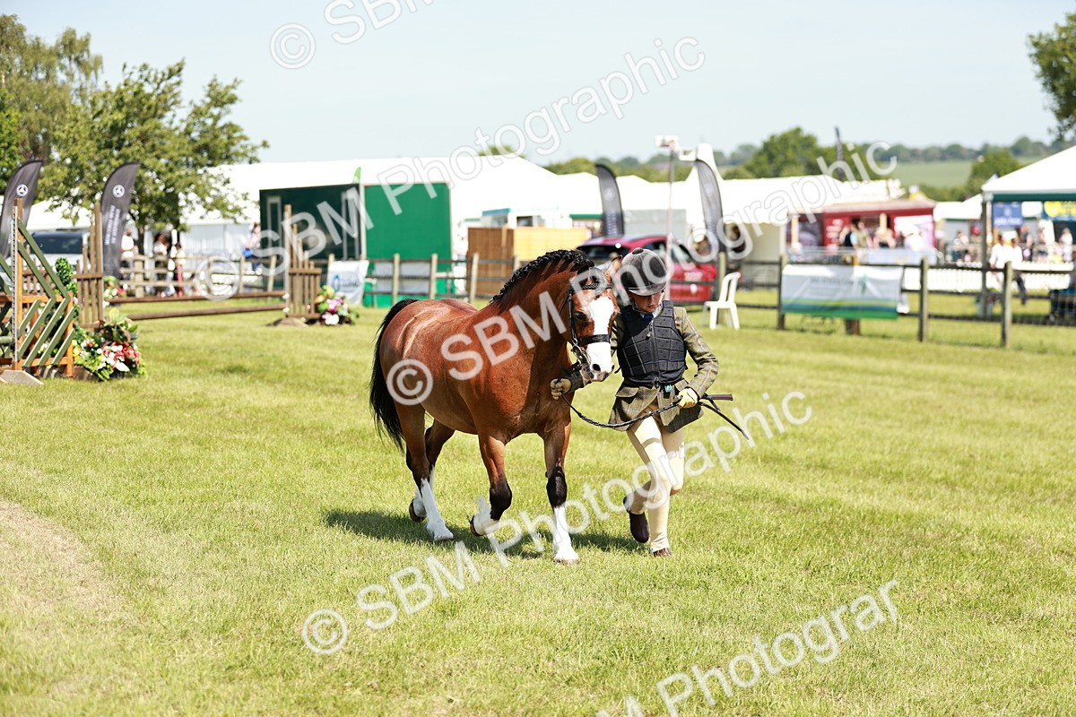 SBM_13605 - Class 108-109 - BSPS LIHS Open Gradle & Nursery Stakes
