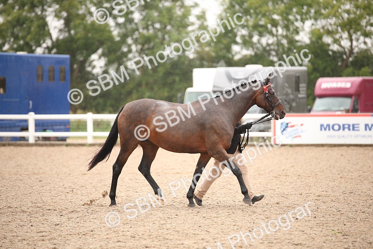 SBM_20680 - Class 705 - IH  Combination 65+