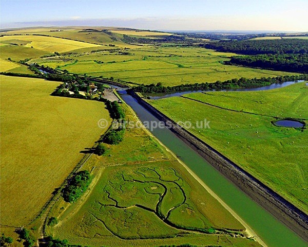 Water Tree - Cuckmere Haven & Cuckmere River, East Sussex