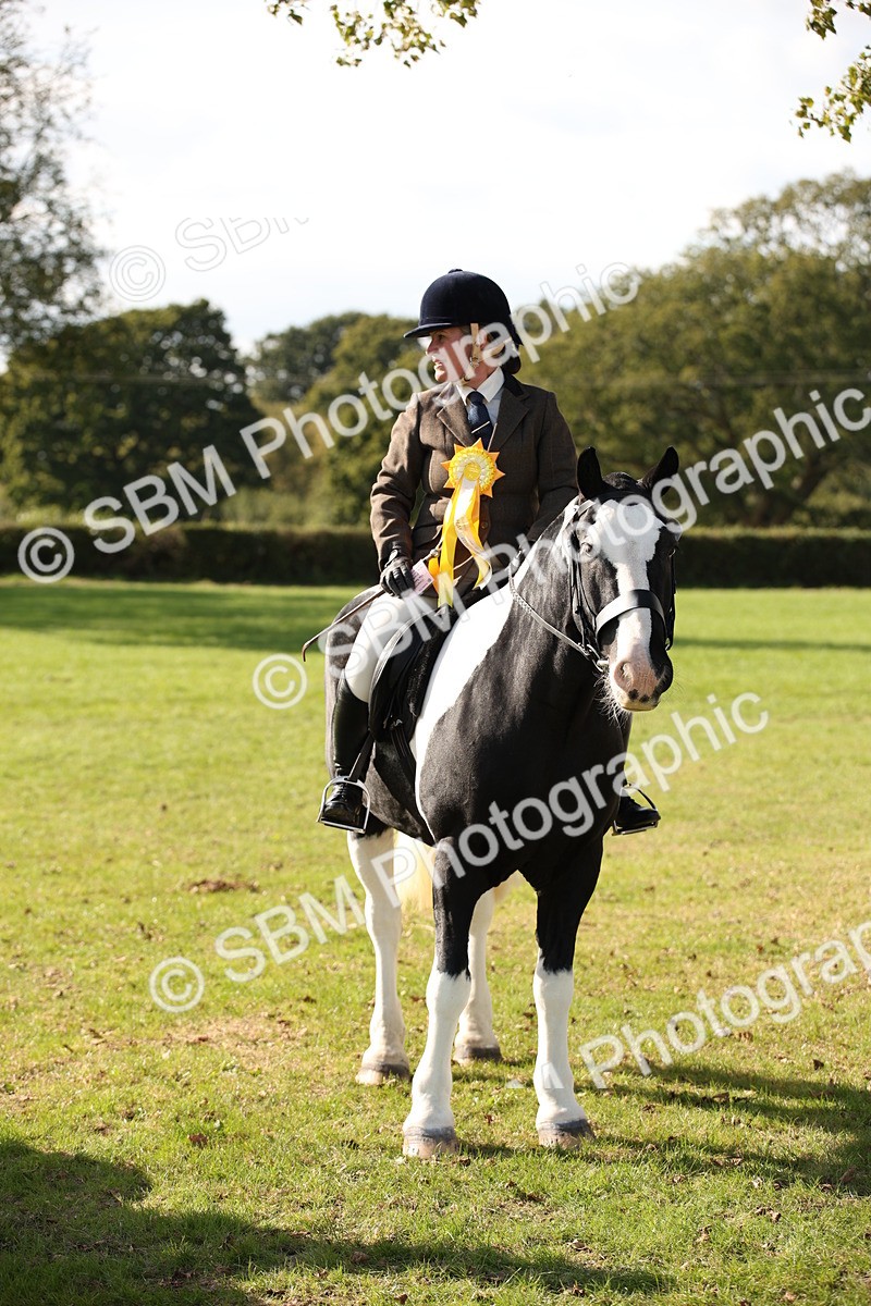 SBM_50095 - S26 - Young Veteran - Ridden