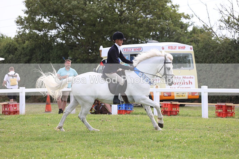 JPP_4827 - Working Hunter Championship