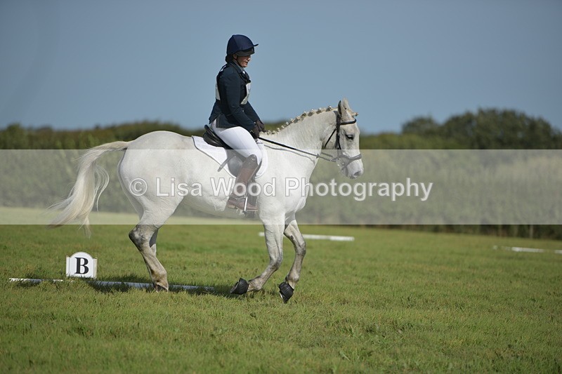 RAY_8138 - Class 2B: Trekenning Open: Dressage