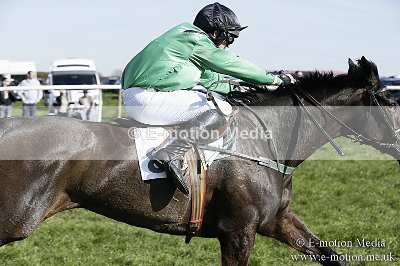 PtP 260317 301 - Mendip Farmers Point-to-Point Ston Easton 26/03/17