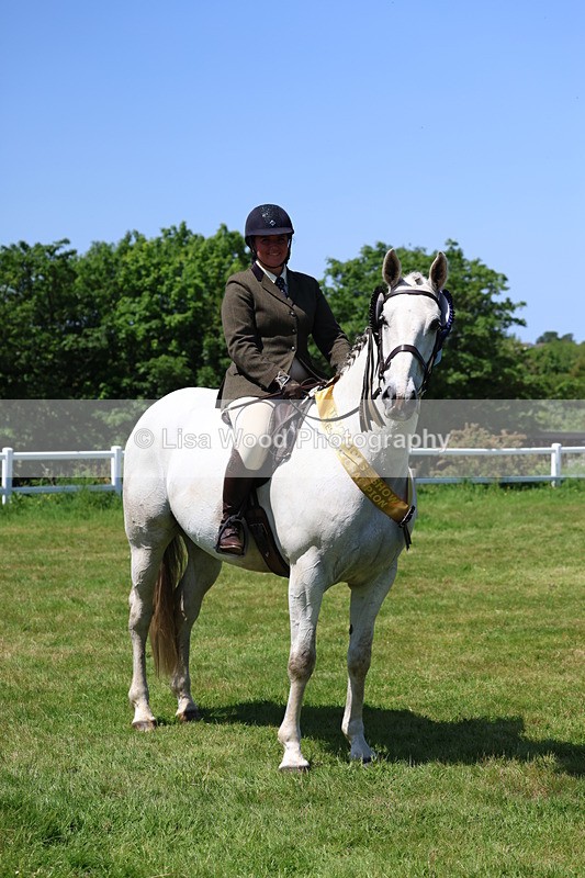 3E7A8133 - Working Hunter Championship