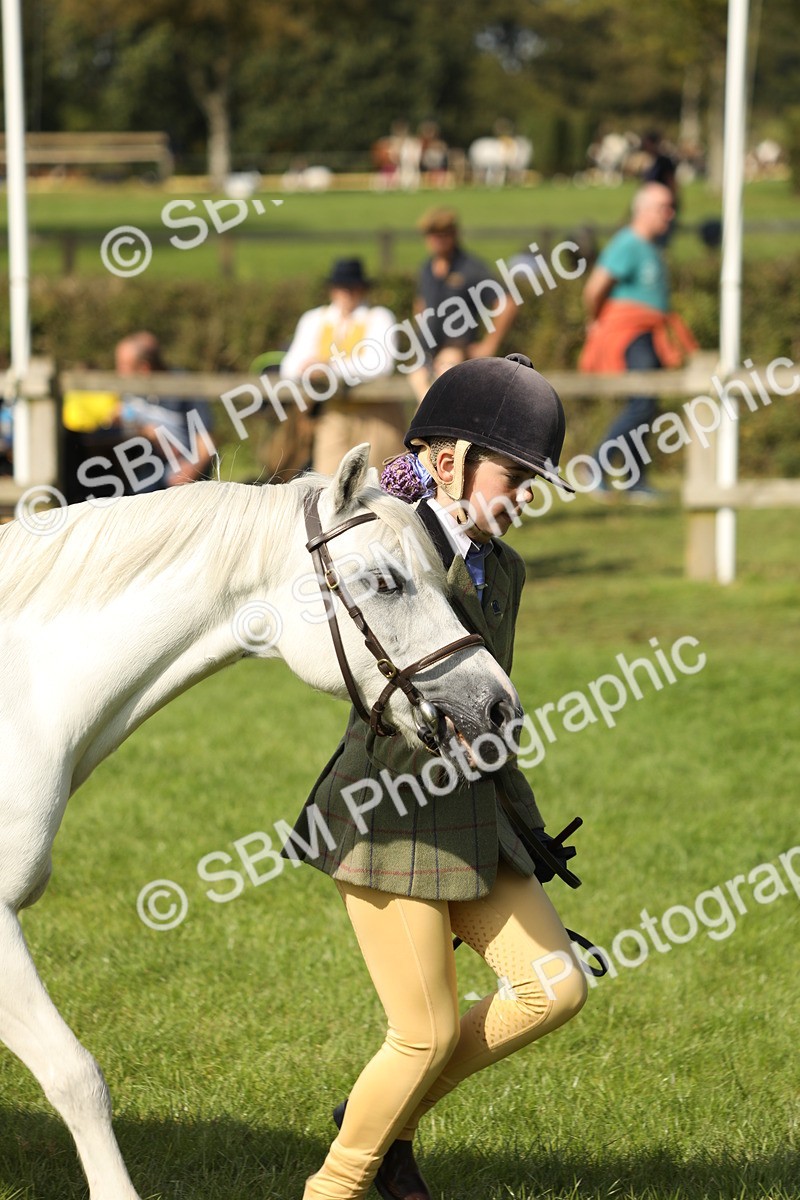 SBM_68602 - S40 - Junior Handler 9-12 Years