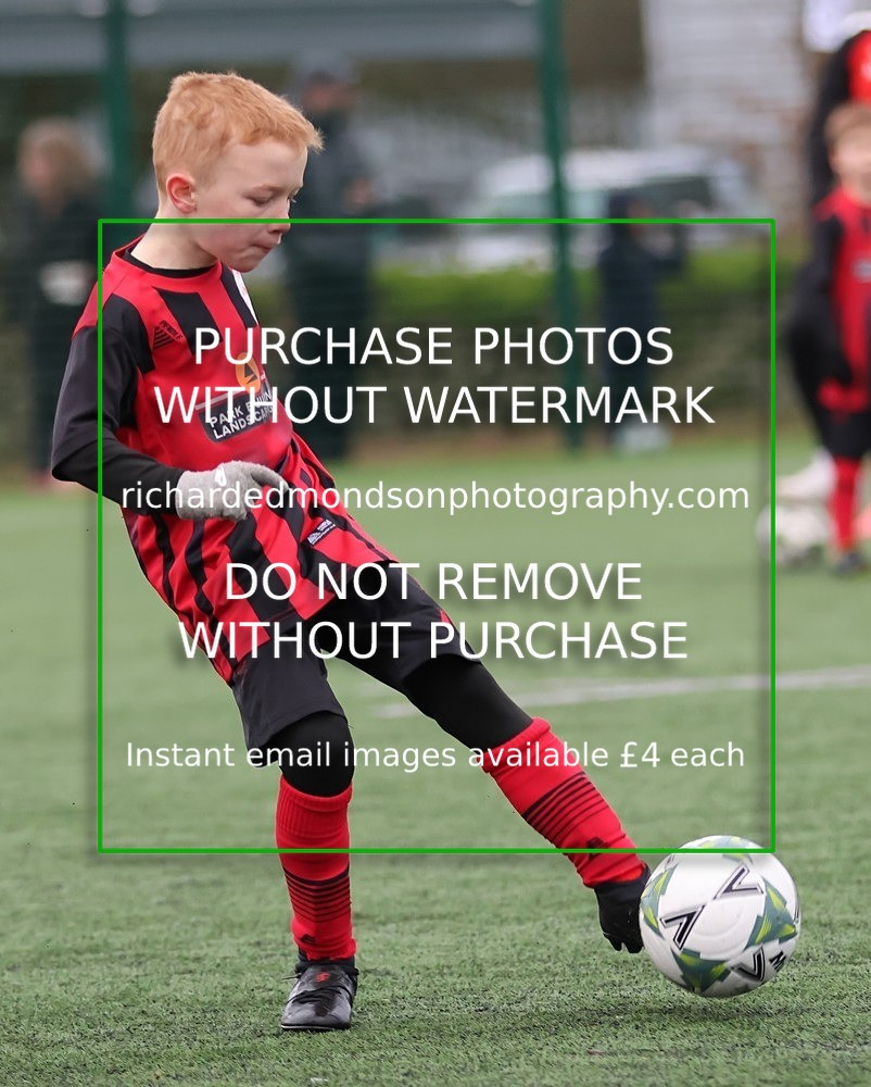 533A9381 - Dalton Juniors