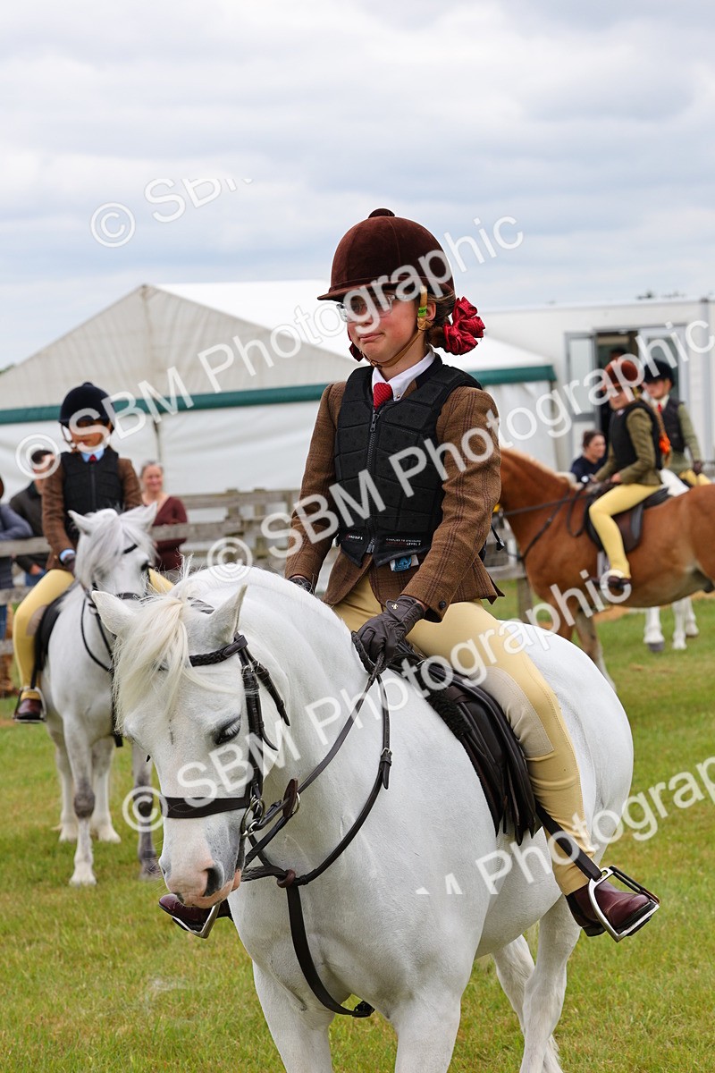 SBM_08826 - Class 42-43 - LIHS BSPS Heritage Working Sports Pony