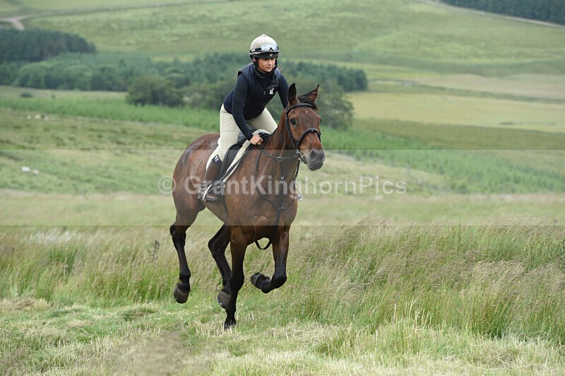 51 - Redeswire Rideout 2026