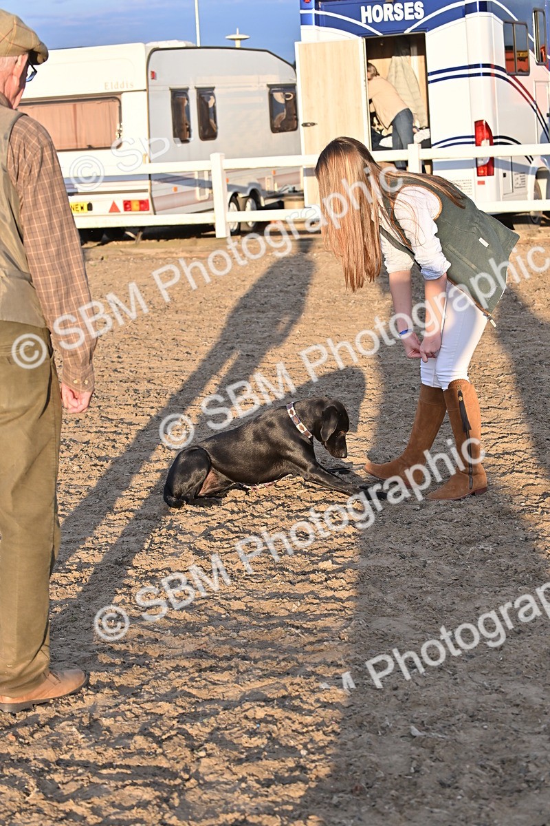 SBM_09658 - Lorry Dogs