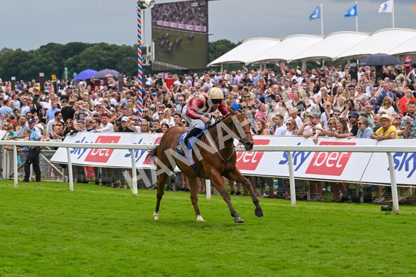 270724-Race 2-Rage Of Bamby-6810 - Race 2 2.40pm Sky Bet Dash Handicap