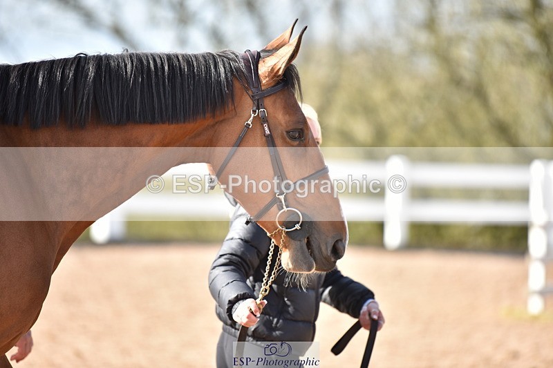 240417A-162936-01232 - 4pm to Finish