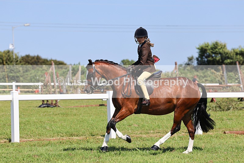 IMG_2005 - Class 34: Show Hunter Pony 153cm and under