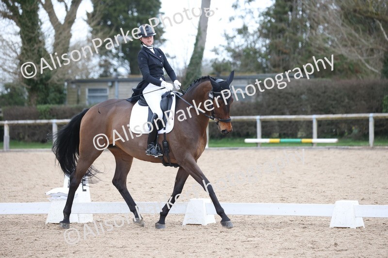 20260301-1093 - Class 11 - Advanced 1