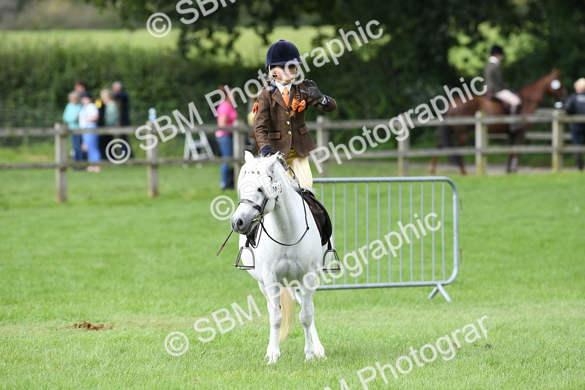 SBM_46815 - S12 - Family Horse & Pony