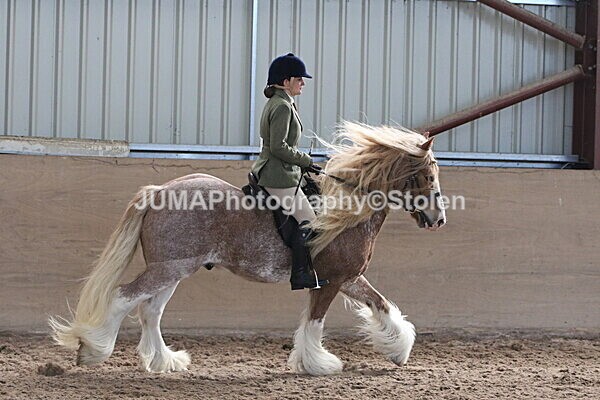 SIAL1977 - Indoor Classes
