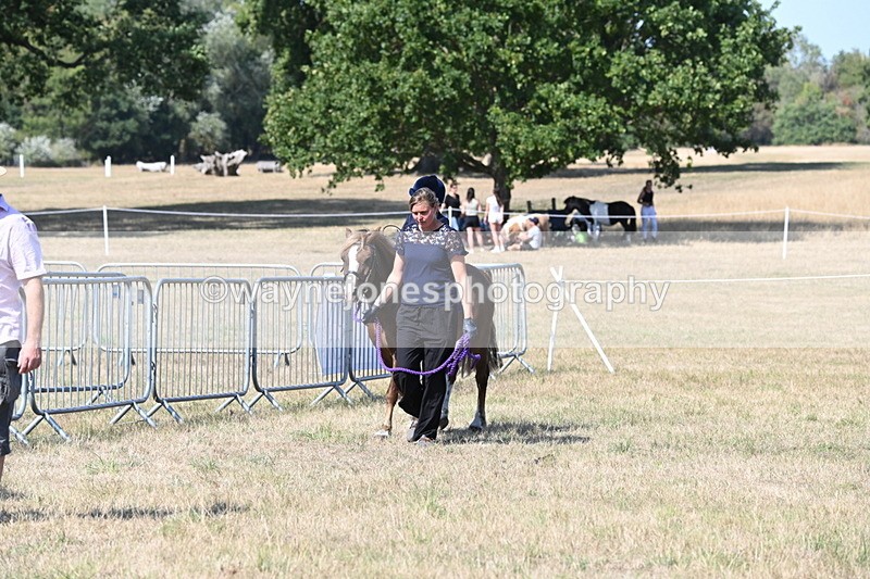 WJ6_9474 - Class 40 Cheekiest Pony/Horse