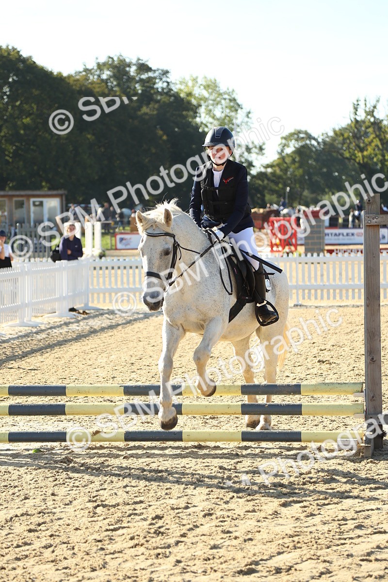 SBM_35778 - J5 - Junior Pony 50cm Championship