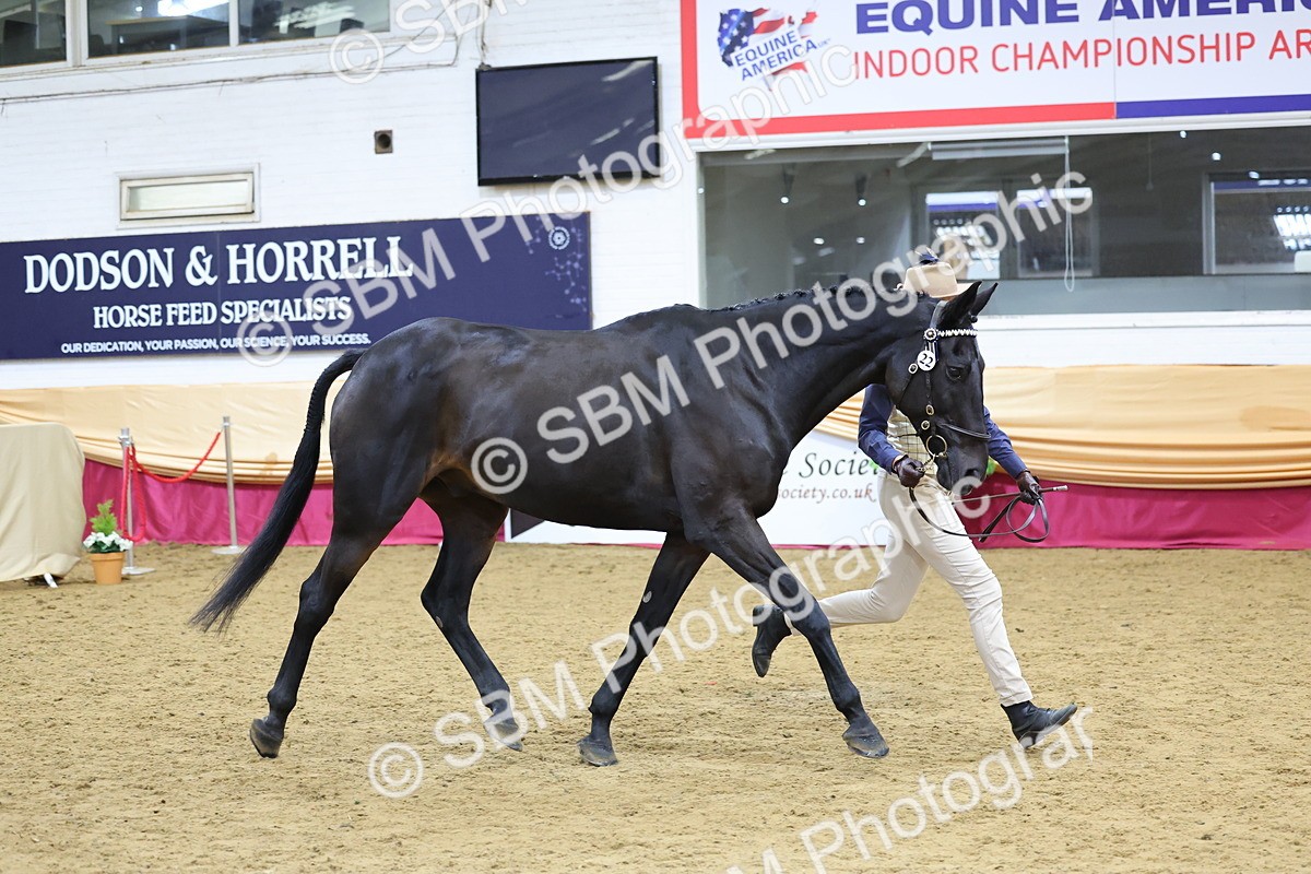 SBM_20870 - Class 902 - Supreme Final IH Veteran