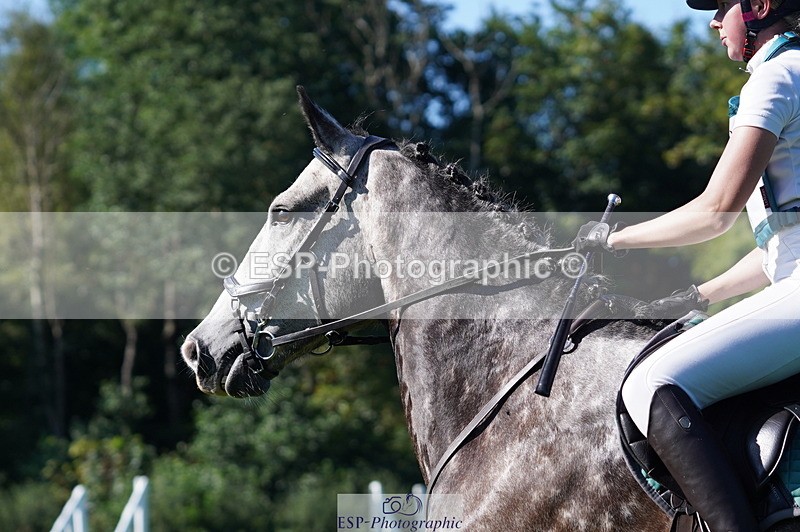 240811A-164546-06410 - 415-