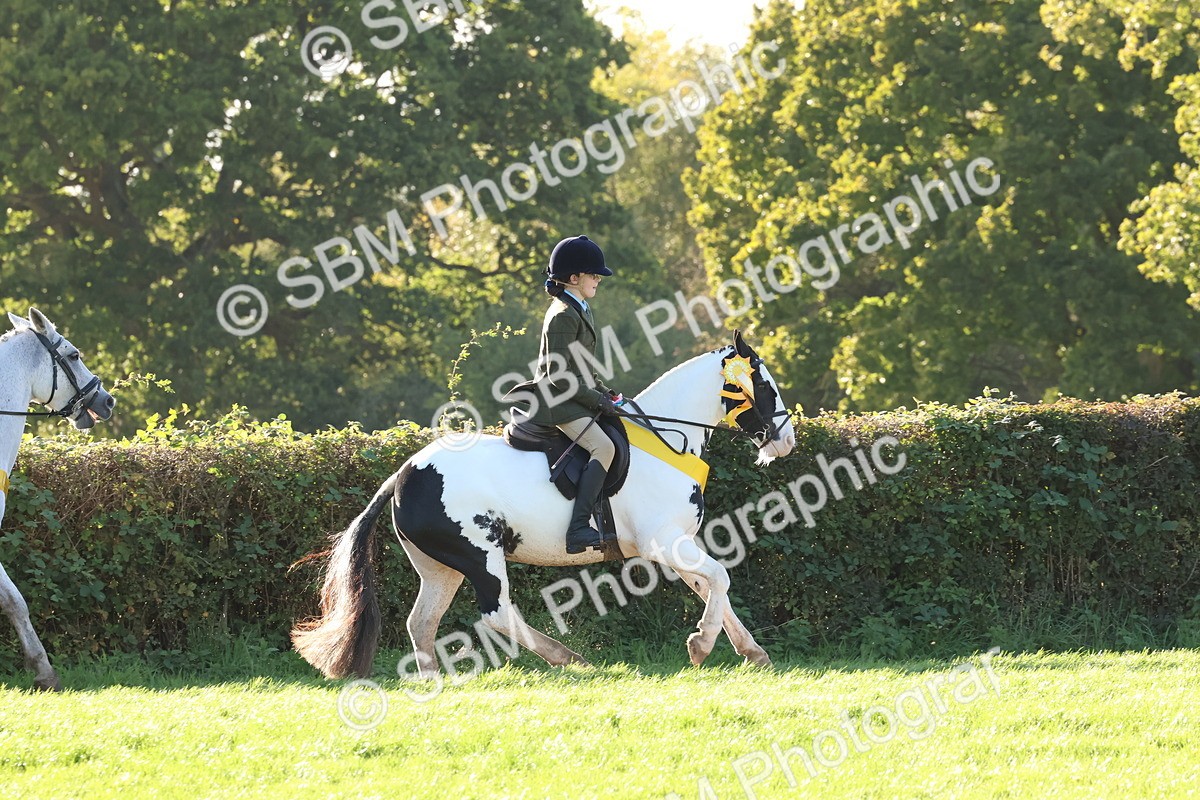 SBM_52684 - S13 - Pony Club Pony