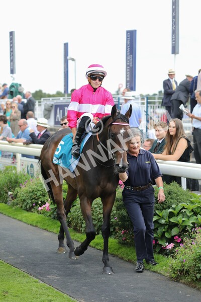 yr19082022r5-15 - Race 5 4.10pm Assured Data Protection EBF Fillies' Stakes