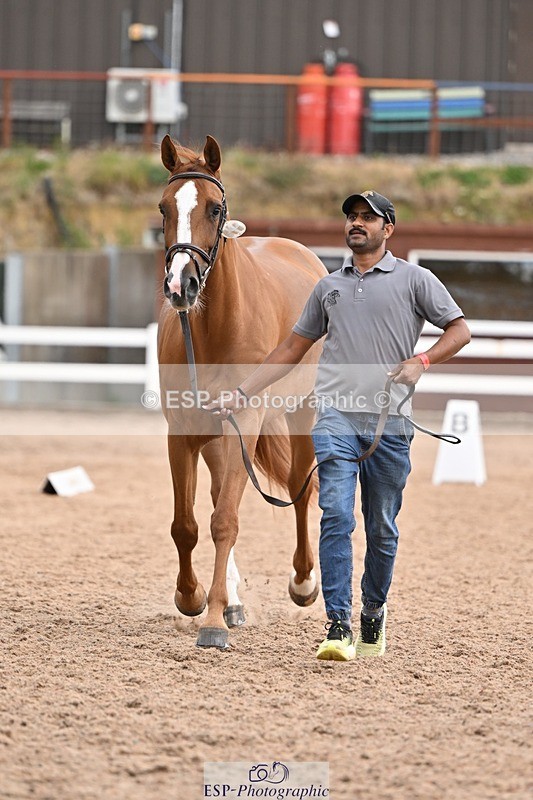 250716-145643-01537 - Trot Up 2.30 to 3.30