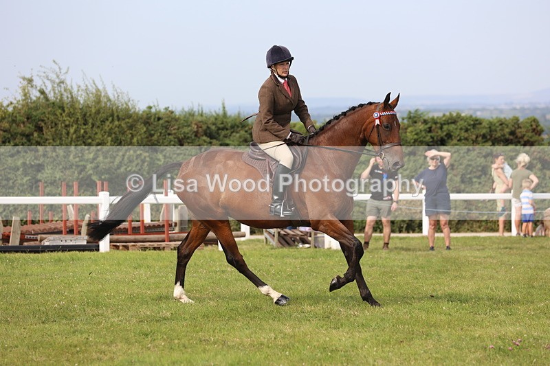 JPP_4235 - Class 25: Working Show Horse