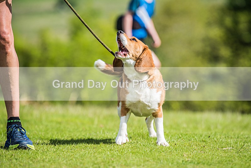 Two Tops-12 - Two Tops Fell Races (Junior & Senior) Saturday 20th May 2023