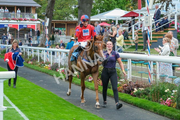 080925-Race 2-Alzahir-7905 - Race 2 3.00pm Sky Bet Super Sub Sprint Handicap