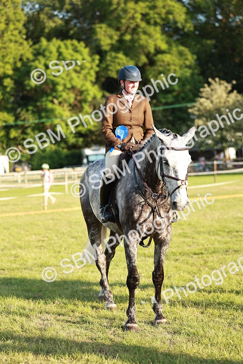 SBM_20569 - Class 117-119 - Sport Horse Working Hunter