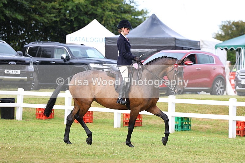 3E7A8008 - Class 2: Rising Star Large Hack/Riding Horse