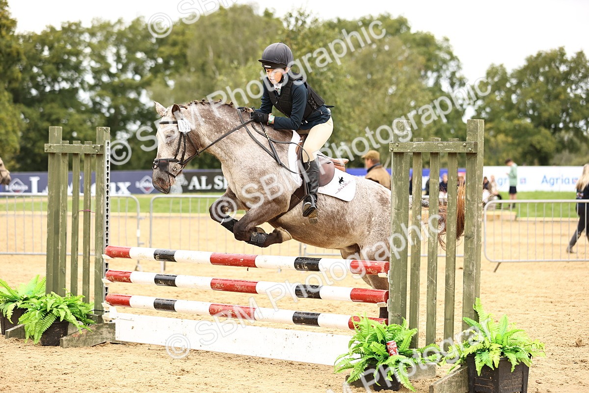 SBM_66463 - J17 - Junior Pony 80cm Championship