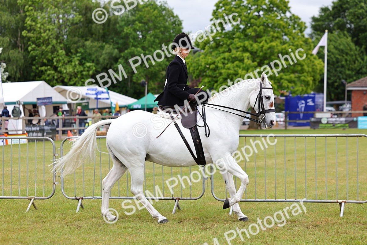 SBM_02938 - Class 9-11 Side Saddle including LIHS Rising Star Ladies Show Horse