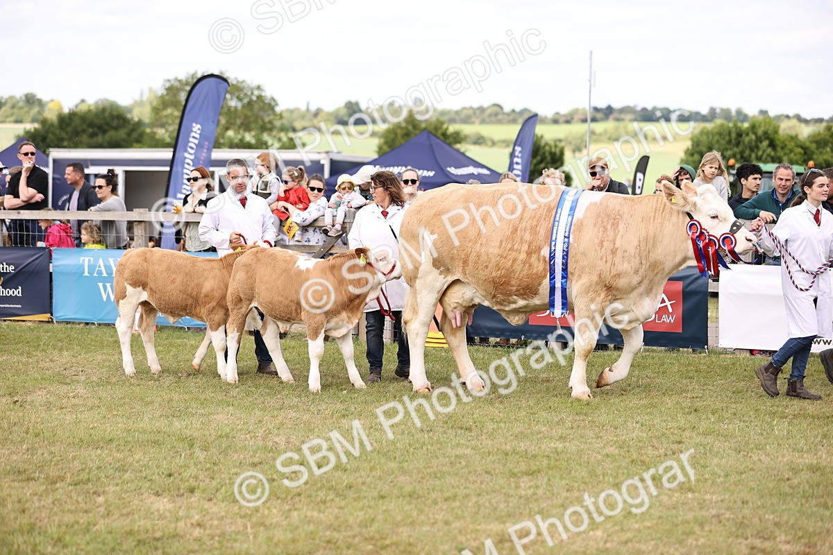 SBM_16877 - Grand Parade