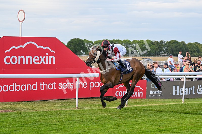 170625-Race 4-Nibras Gold-6780 - Race 4