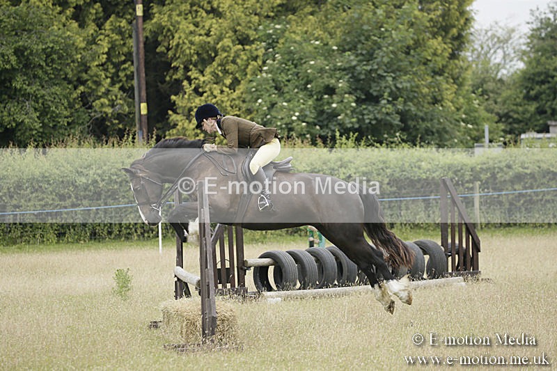 B230619-0085 - Bourne Valley Riding Club Summer Show 23/06/19